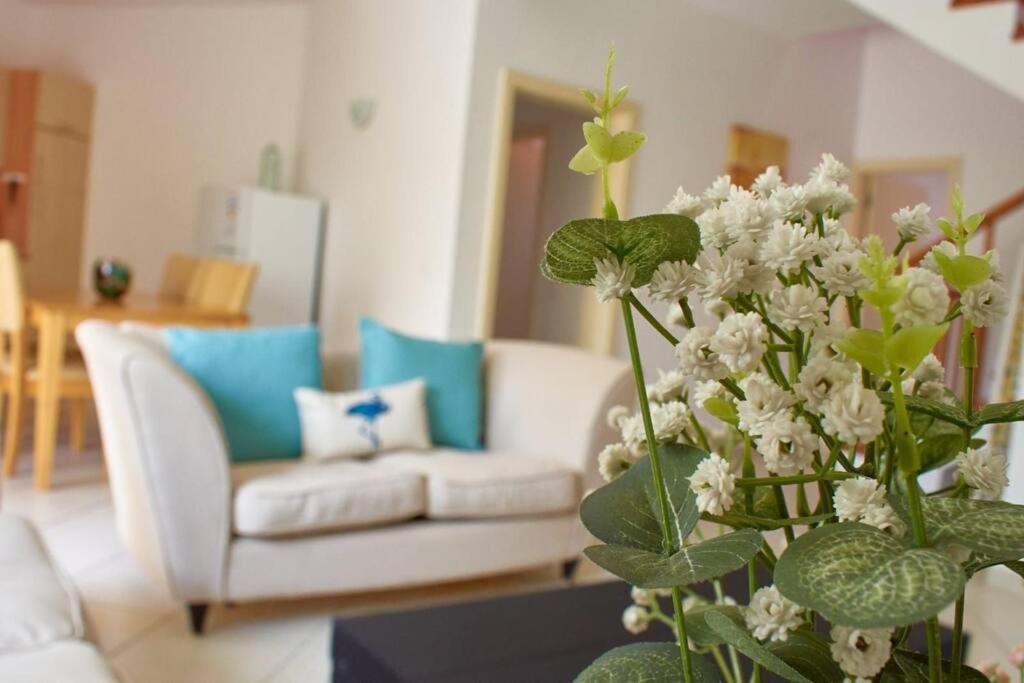 Apartamento T3 Encantador Com Piscina Wifi E Perto De Praia Santa Maria Bagian luar foto
